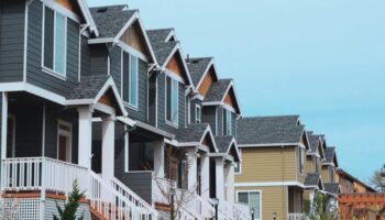 local-knowledge local-knowledge